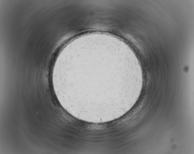 X0000116421307201001191441