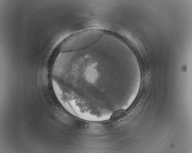 X0000116421310201001191441
