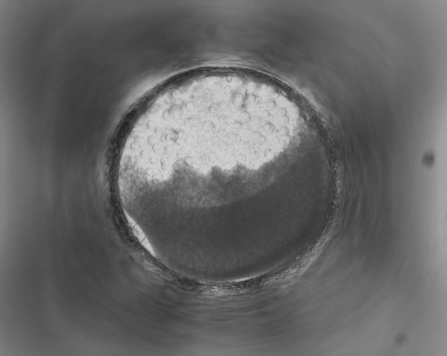 X0000116421311201001191441
