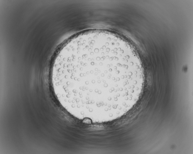 X0000116421315201001191442