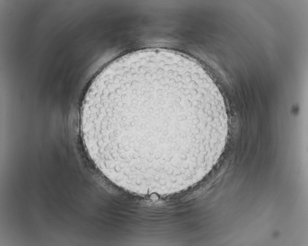 X0000116421317201001191442