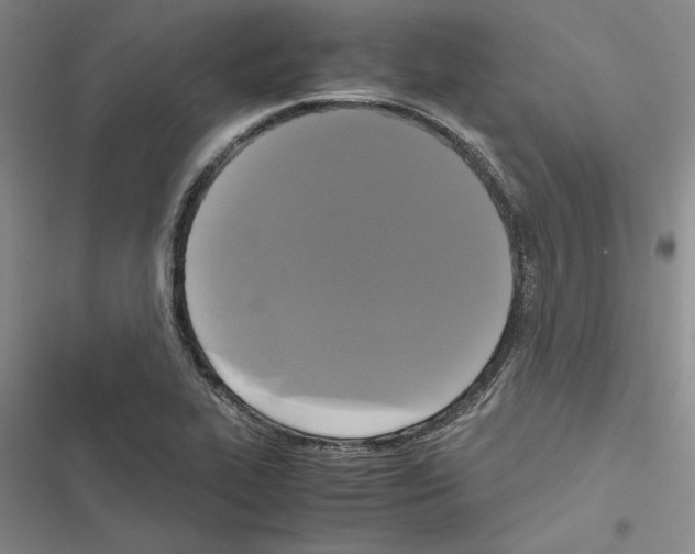 X0000116421319201001191442