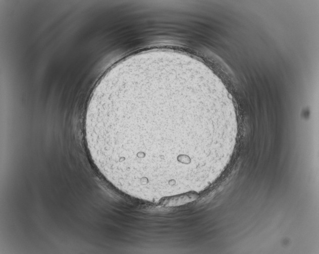 X0000116421321201001191442