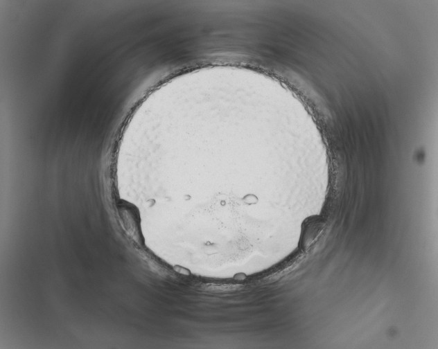 X0000116421325201001191442