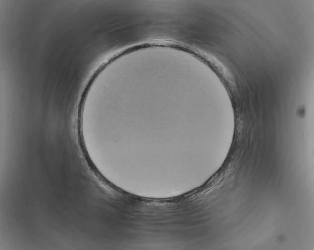 X0000116421327201001191442