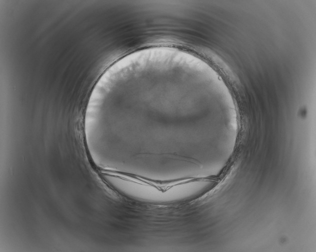 X0000116421329201001191442
