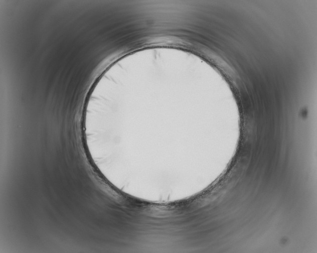 X0000116421330201001191442