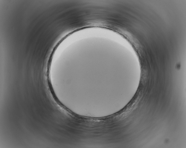 X0000116421331201001191442