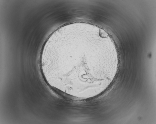 X0000116421333201001191442
