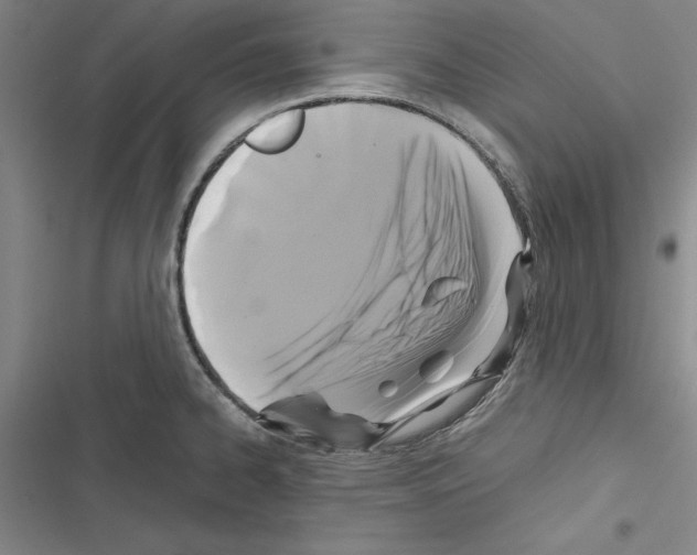 X0000116421334201001191442