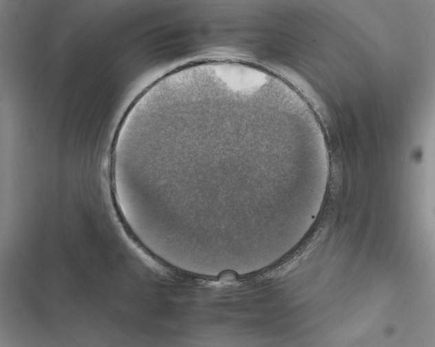 X0000116421335201001191442