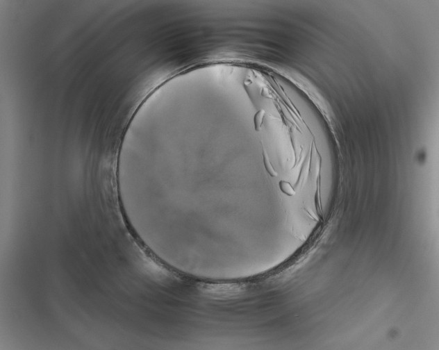 X0000116421337201001191442