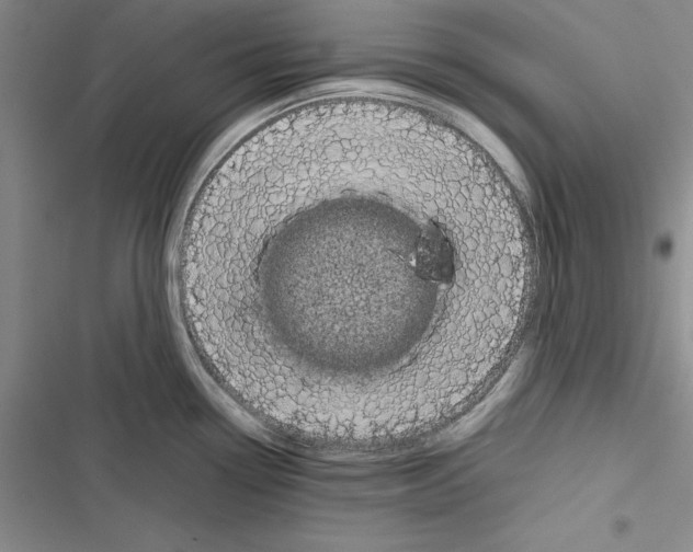 X0000116421338201001191442