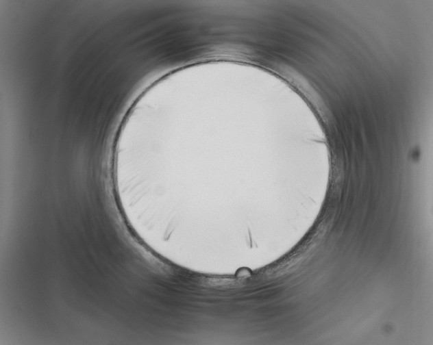 X0000116421339201001191442