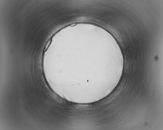 X0000116421342201001191442
