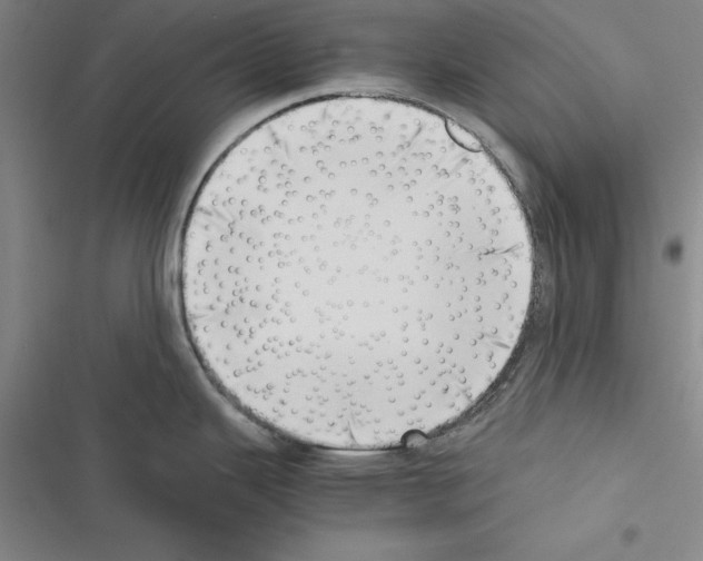 X0000116421343201001191442
