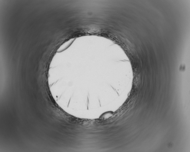 X0000116421345201001191441