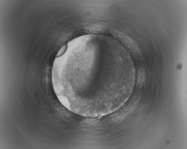 X0000116421346201001191441