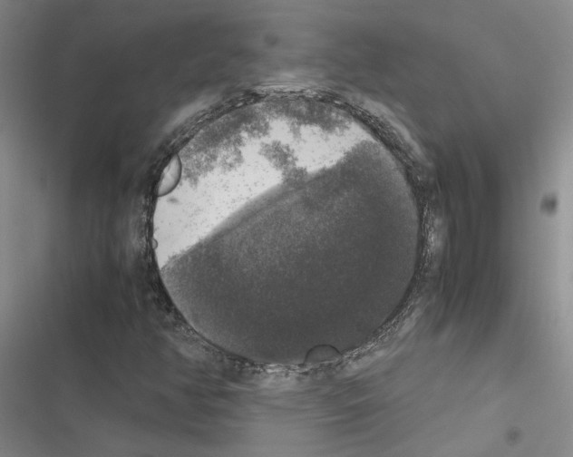X0000116421350201001191441