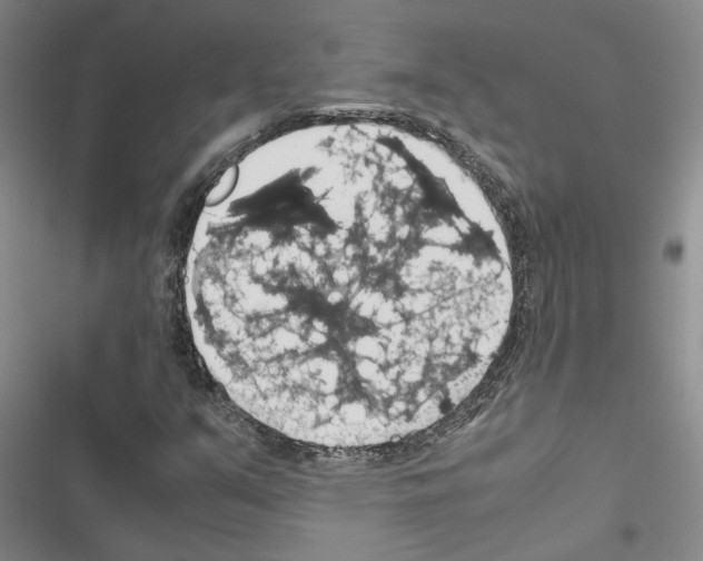 X0000116421351201001191441