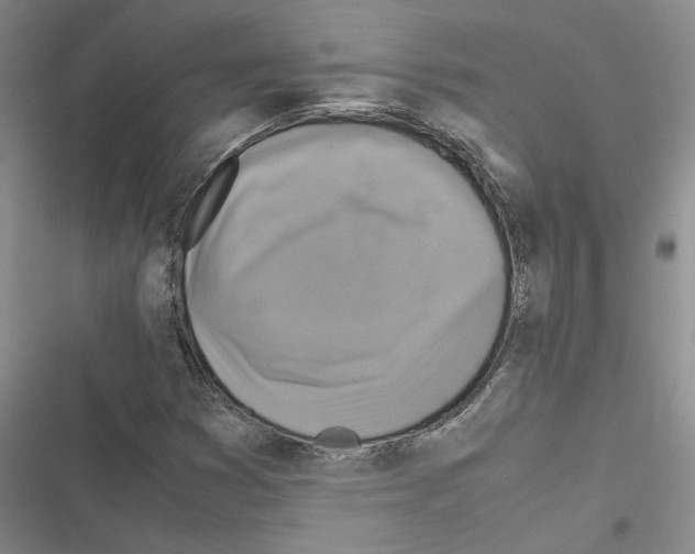 X0000116421353201001191441
