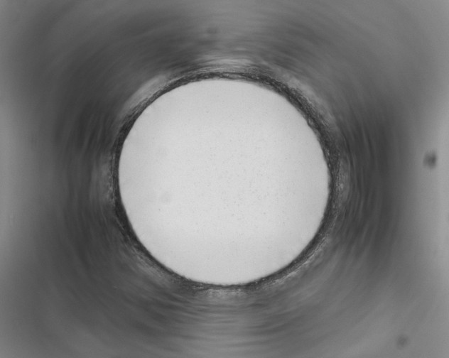 X0000116421354201001191441