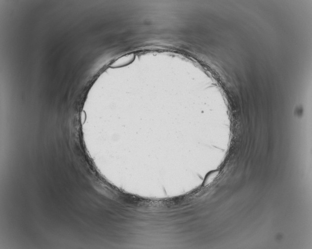 X0000116421355201001191441