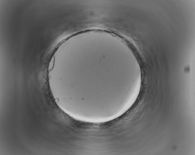X0000116421359201001191441
