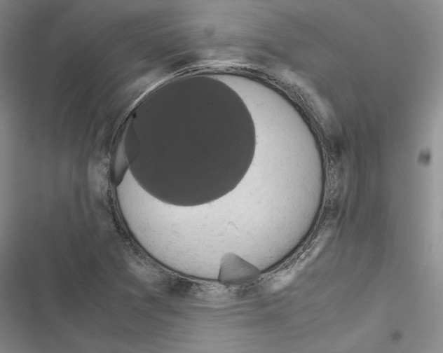 X0000116421361201001191441