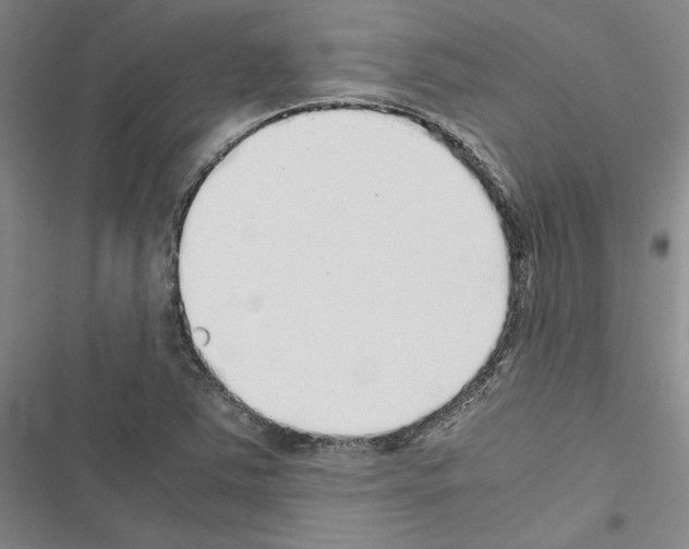 X0000116421363201001191441