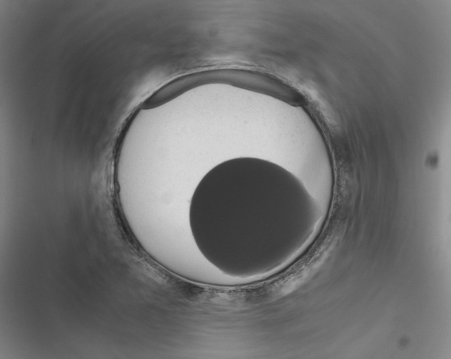 X0000116421365201001191441