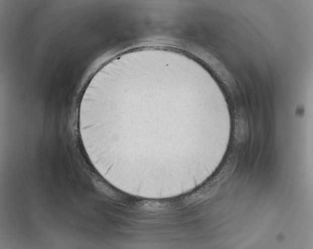 X0000116421366201001191441