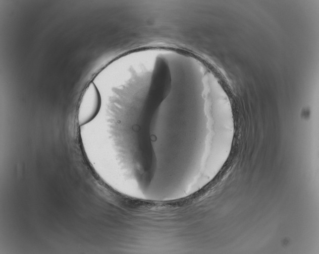 X0000116421367201001191441