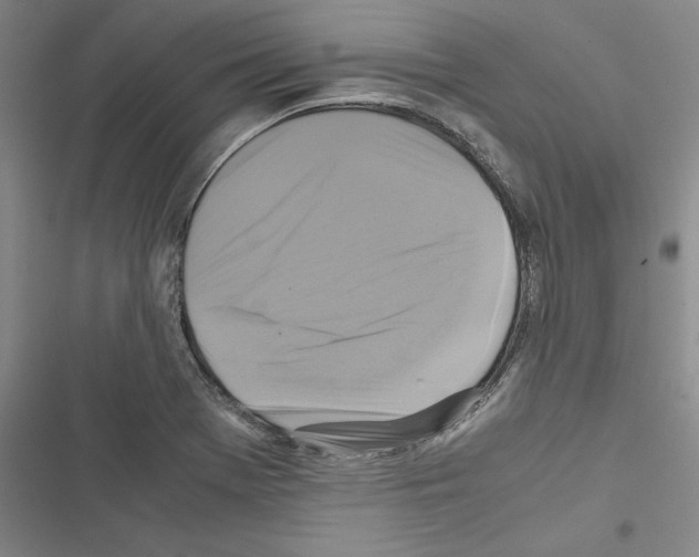 X0000116421369201001191441