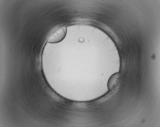 X0000116421370201001191441