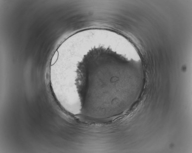 X0000116421371201001191441