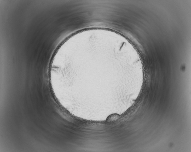 X0000116421372201001191441