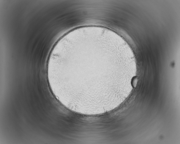 X0000116421380201001191441