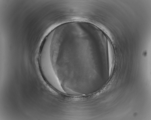 X0000116421381201001191441