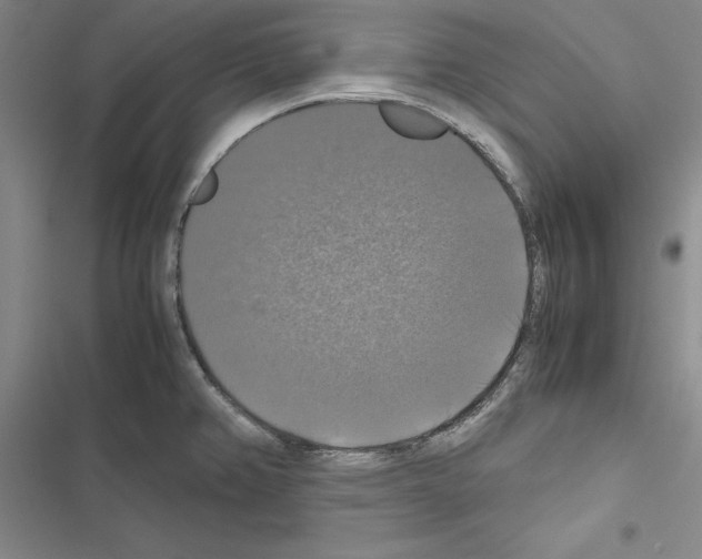 X0000116421382201001191441