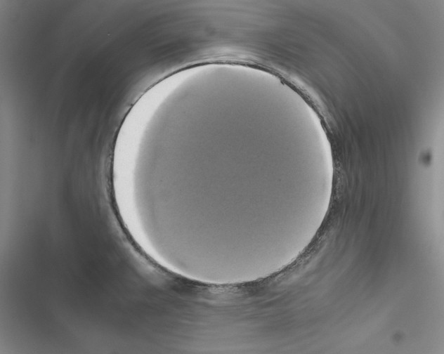 X0000116421383201001191441