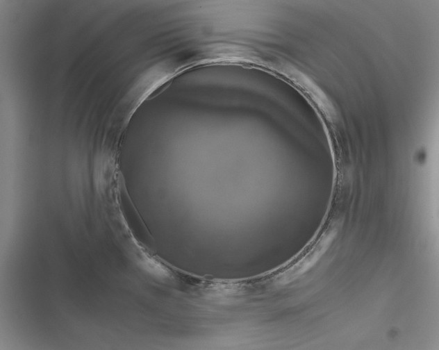 X0000116421385201001191441