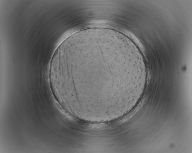 X0000116421386201001191441