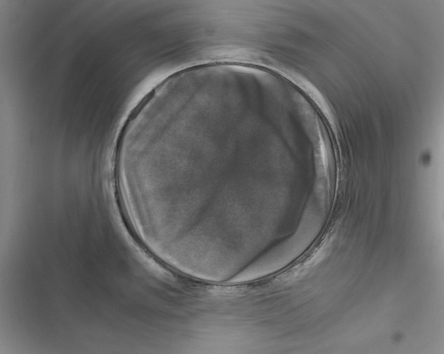 X0000116421389201001191441