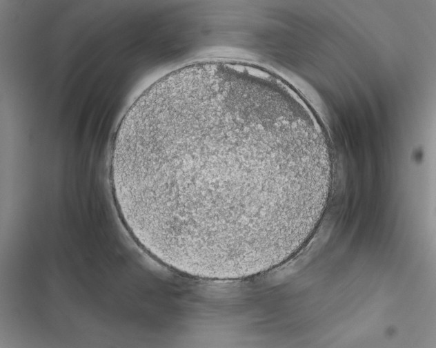 X0000116421390201001191441
