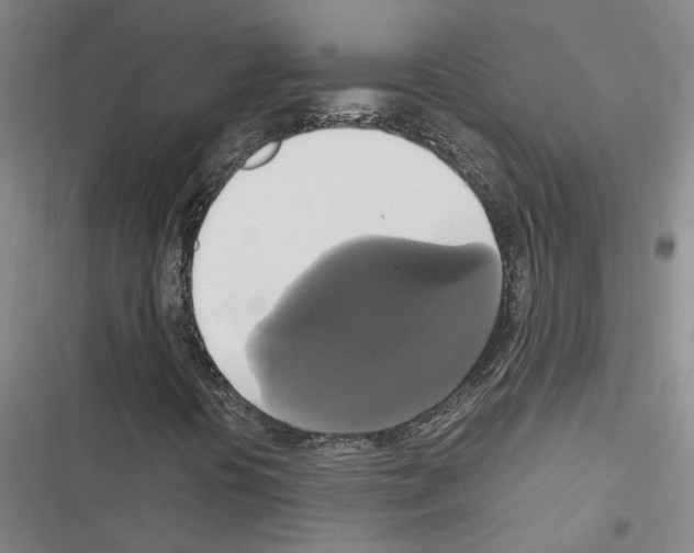 X0000116421394201001191440