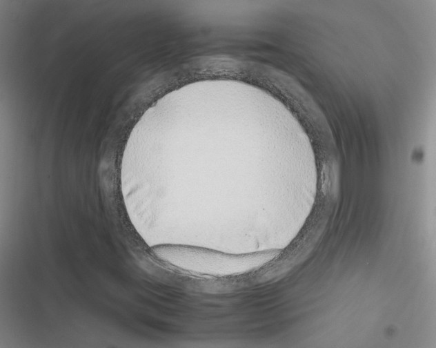 X0000116421395201001191440