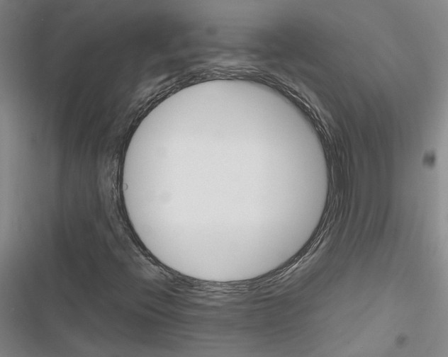 X0000116421396201001191440