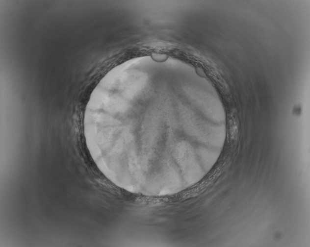 X0000116421397201001191440