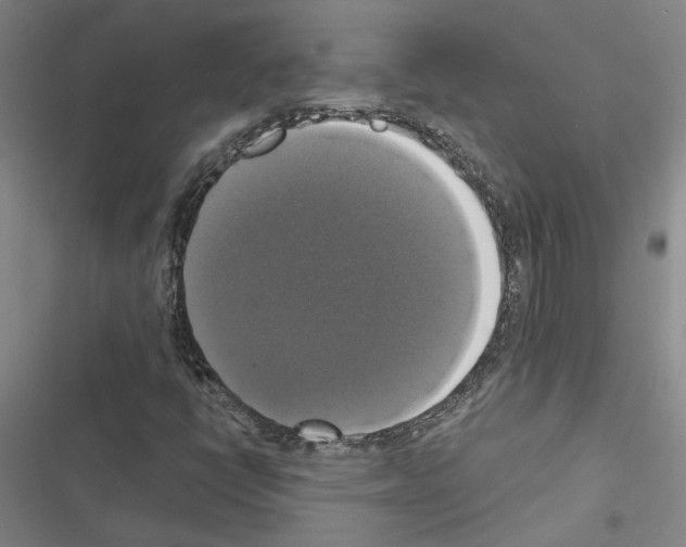 X0000116421398201001191440